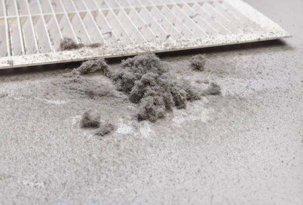 Affordable HVAC Duct Cleaning in FL