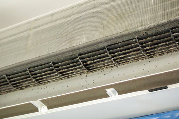 Best Air Duct Cleaning Company Near Me  in Celebration, FL