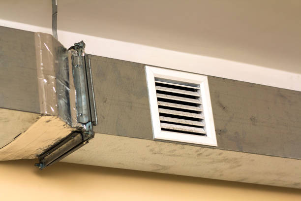 Best Dryer Vent Cleaning Services  in Celebration, FL